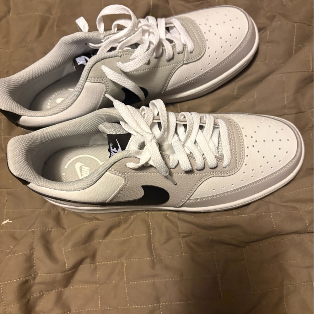 Nike sb low pro